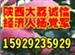 陕西金太阳杏大荔西瓜中油5油桃价格Logo