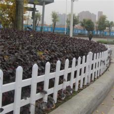 江西南昌绿植围栏选用什么颜色更美观大方