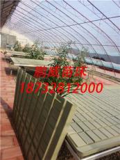 潮汐式灌溉进水排水塑料苗盘系统苗床水盘