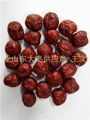 山東大棗供應廠家在哪