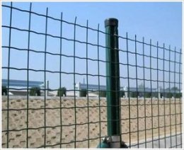 供应圈地围栏网 树木种植低价格围栏网