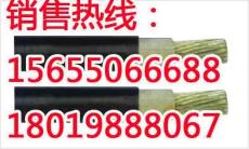 WDZ-BYJ輻照電纜 RYJ電纜品質(zhì)一流