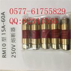 RM10-15-60A熔断器保险丝熔芯