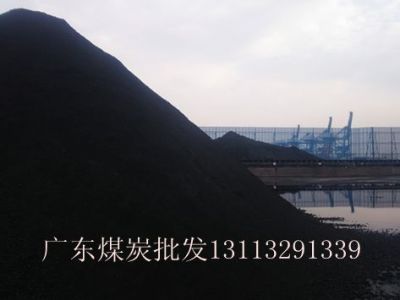 2016年4月广东东莞海昌码头最新煤炭批发价