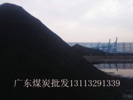4月12日广东广州新沙港5000大卡印尼煤价格