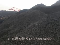 4月12日广东珠电码头最新煤炭报价