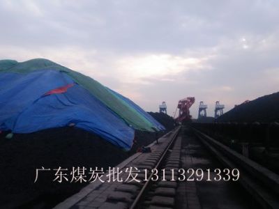 2016年广东肇庆煤炭最新价格行情