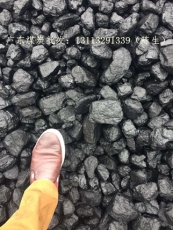 2016年4月广东广州5000大卡内蒙块煤烟煤