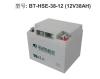 赛特蓄电池BT-HSE-180-12 12V180AH/10HR