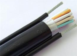 ZR-KF4F46GP控制型電纜 報(bào)價(jià)-廠家-價(jià)格