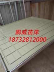 潮汐式苗盘 潮汐式苗床 苗床水盘