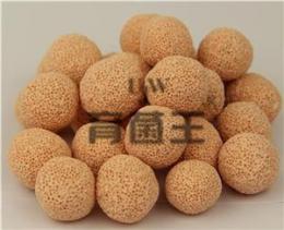 广州细菌球价格 细菌球厂家 培菌球用途