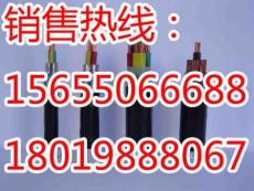 DJGVF硅橡膠絕緣彈性體塑料PVC護(hù)套計(jì)算機(jī)電