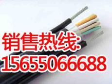 RVVY2G帶鋼絲行車電纜 起重機(jī)電纜