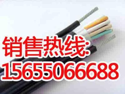 RVVY2G帶鋼絲行車電纜 起重機電纜