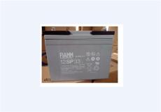 FIAMM铅酸蓄电池12SP235非凡12V235AH工业
