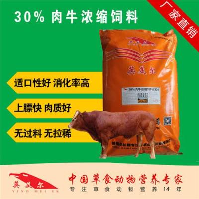 牛精料 牛催肥用什么饲料