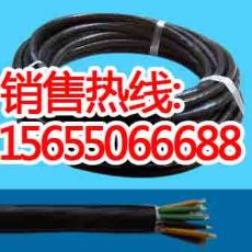 KJCPR數(shù)字巡回測控電纜電纜