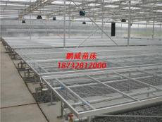 鹏威苗床网 热镀锌苗床网片 潮汐式苗床