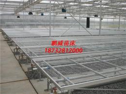 鹏威苗床网 热镀锌苗床网片 潮汐式苗床