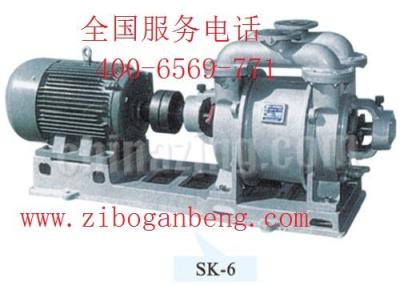 SK系列水环真空泵
