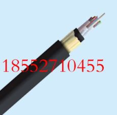黑龙江省24芯OPPC光缆厂家直销 电力光缆报